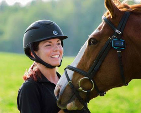 MMSeeHorse