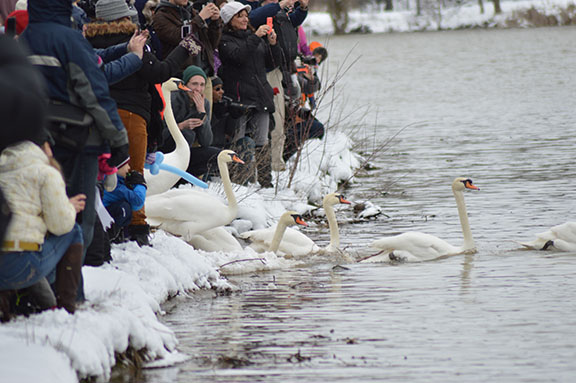 ekswan4