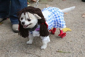 IMG_9441