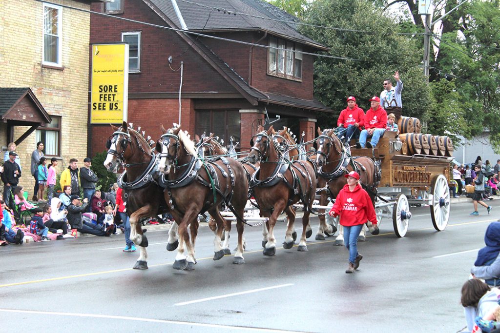 Six horses pull a traditional wagon full of kegs.